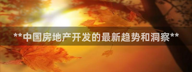 万向娱乐平台代理