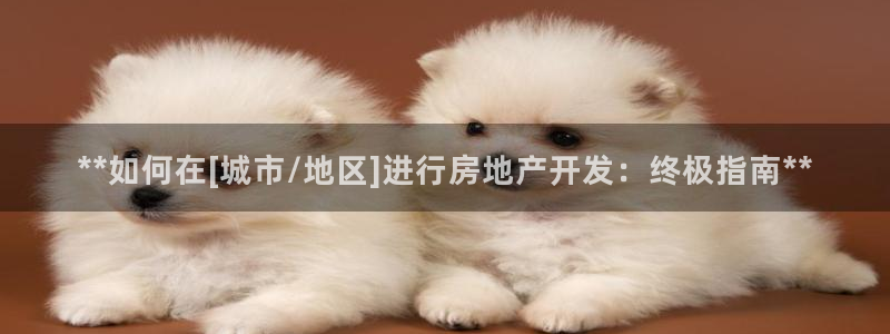 万向娱乐平台代理怎么样赚钱