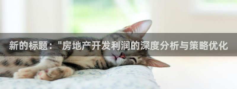 万向娱乐的494o3 主管