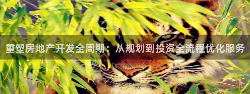 万向娱乐平台代理多少钱一个月