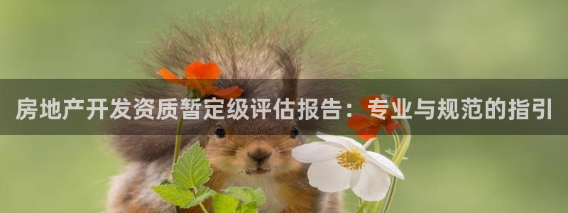 万向娱乐平台代理多少钱