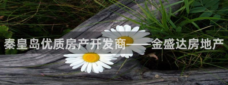 万象国际娱乐网址