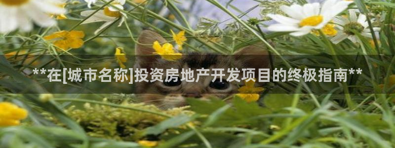 万向娱乐是野鸡台吗