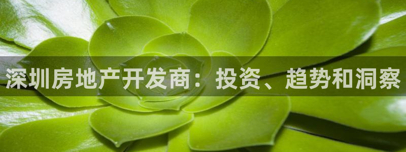 万向娱乐官网下载安装苹果