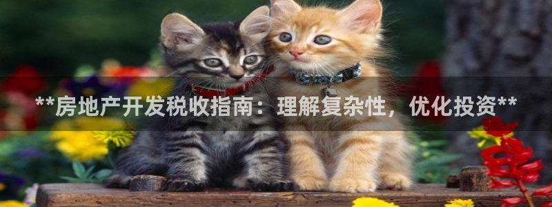 万向娱乐平台代理