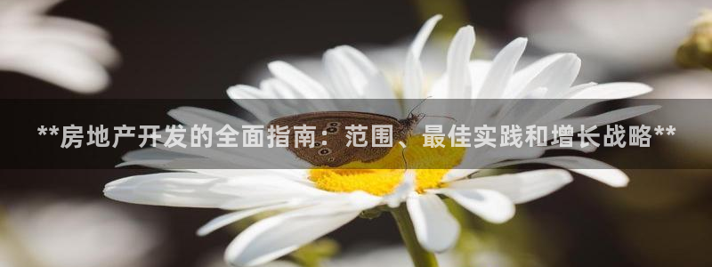 万向娱乐平台好不