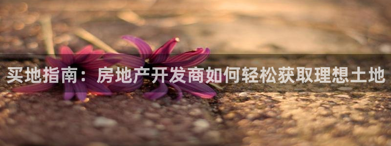万向娱乐技术