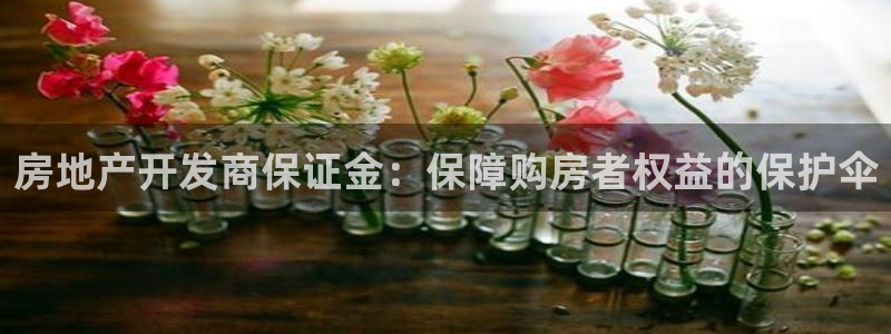 万能娱乐代理网址