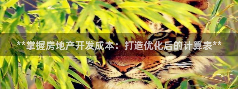 万向娱乐平台代理多少钱一个