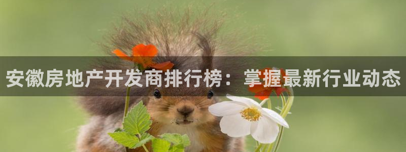 万向娱乐下载