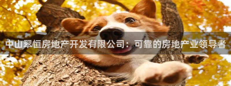 万向娱乐官网首页