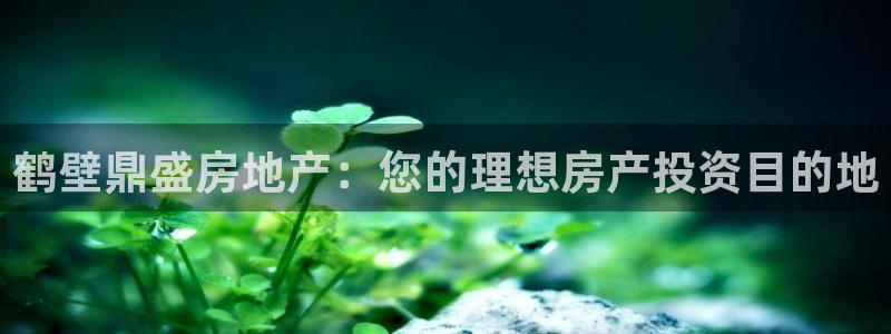 万向娱乐平台代理怎么做赚钱