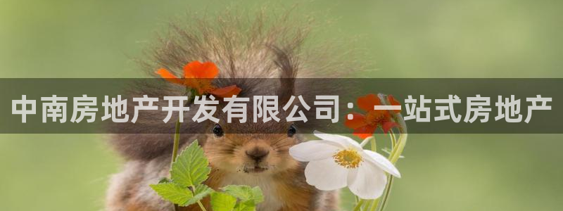 万向娱乐怎么样