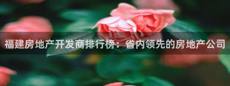 万向娱乐网址是什么