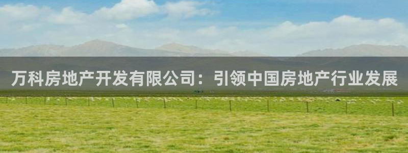 万向娱乐平台代理多少钱