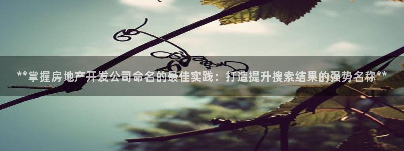 万向娱乐平台代理怎么样赚钱