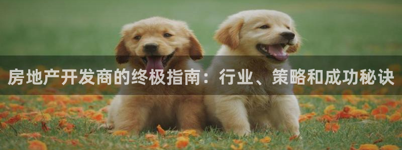 万向娱乐招商