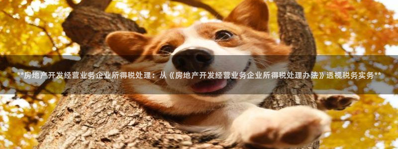 万向娱乐网址是什么