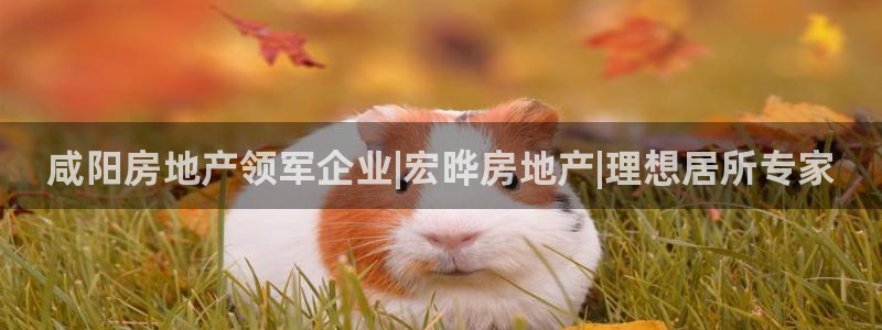 万向娱乐注册资金多少合适