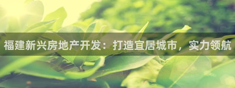 万向娱乐平台代理多少钱一个月