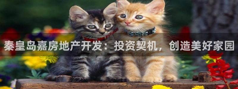 万向娱乐官网下载安卓