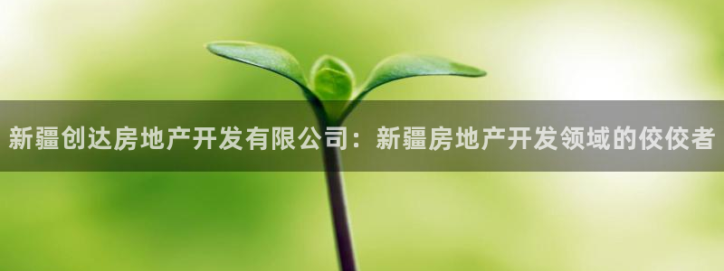 万向娱乐平台代理怎么做赚钱