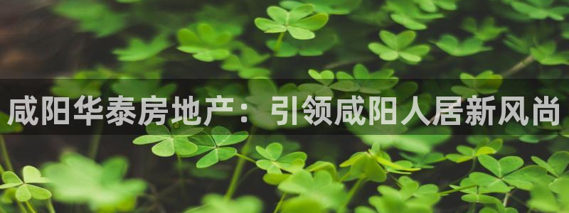 万能娱乐代理网址
