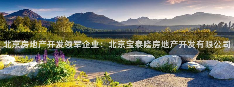 万向娱乐平台代理多少钱