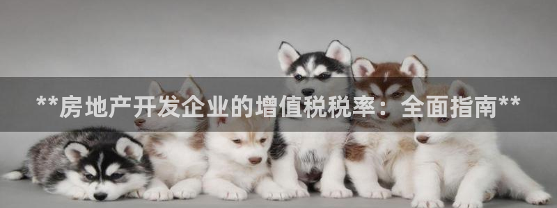 万向娱乐app下载安装