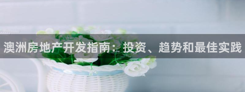 万向娱乐的494o3 主管